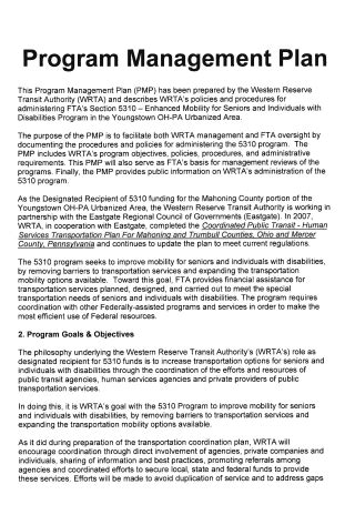 Image result for Program Management Plan Sample