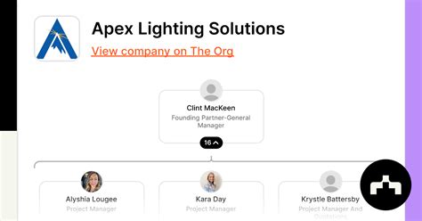 תוצאת תמונה עבור Apex Lighting Control Module