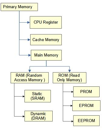 Afbeeldingsresultaten voor Primary Memory Examples