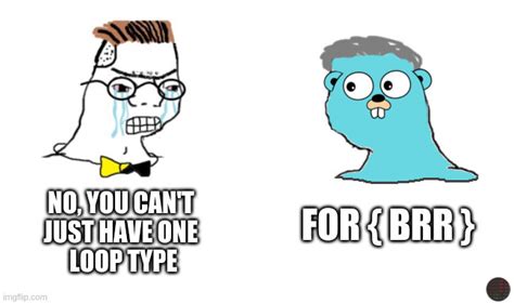 Image result for Meme On Go Programming Language