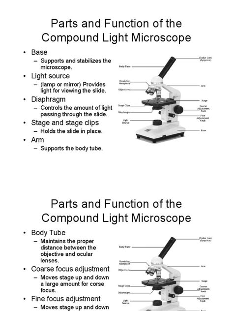 Image result for Parts and Function of Microscope Worksheet