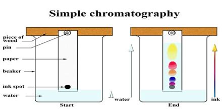Image result for Chromatography Project Designs