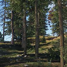 Image result for Rust Game Tree-Cutting Sound