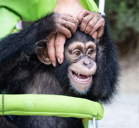 Afbeeldingsresultaten voor Monk with Monkey On His Head
