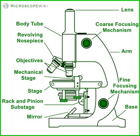 Afbeeldingsresultaten voor Light Microscope Labeled