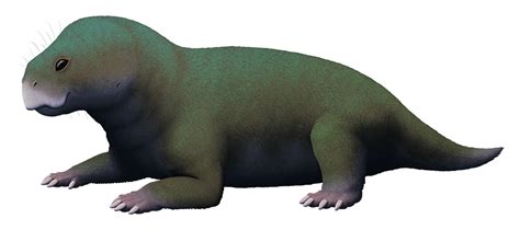 Image result for Dicynodont
