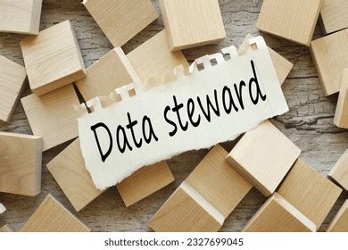 Image result for Data Steward Visual