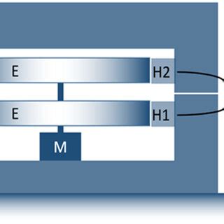 Encoder Comparator に対する画像結果