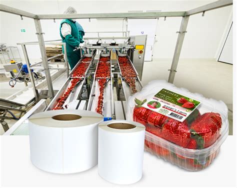 Image result for Food Product Sticker Printing Machine