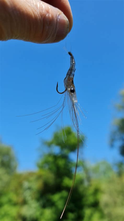 Image result for Micro GameChanger Fly