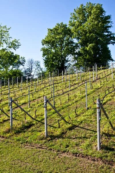 Image result for Edge Impulse Vineyard Irrigation