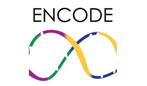 Image result for Encode Club Logo