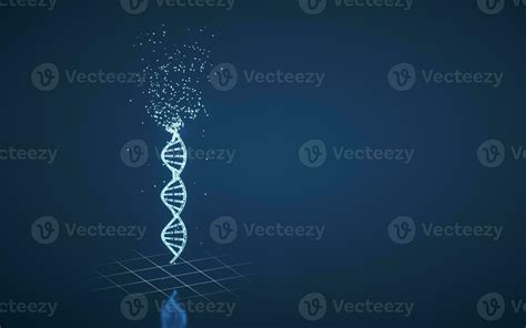 Image result for Gene Expression DNA 3D