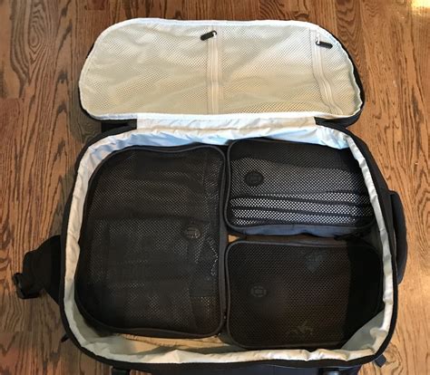 Image result for Tortuga Set Out