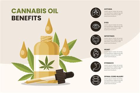 Free Vector | Cannabis oil benefits - infographic