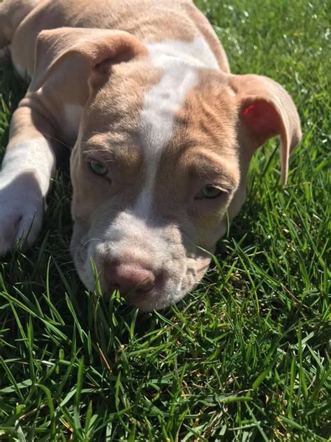 Afbeeldingsresultaten voor Teamwork Training