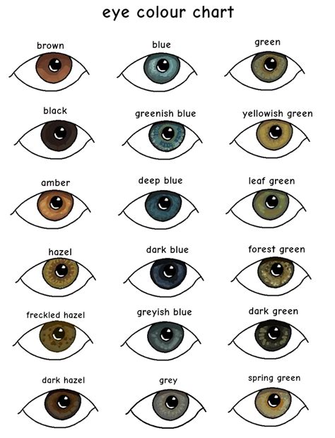 Image result for Eye Color Statistic Chart