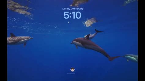 Mac OS Screensaver に対する画像結果