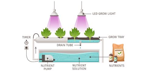 Hydroponic System Components に対する画像結果