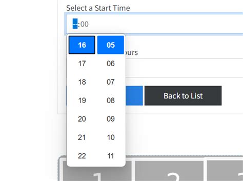 Image result for Time Input CSS