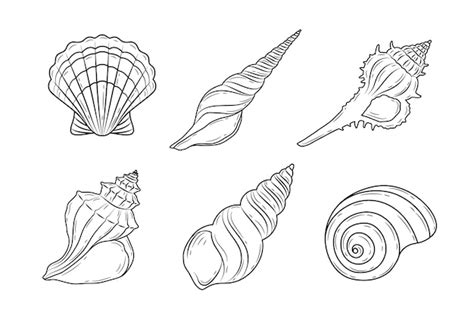 Shell Line Art に対する画像結果