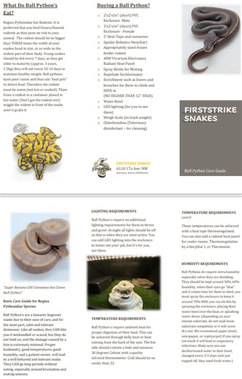 Ball Python Care Sheet – Firststrike Snakes & Feeders