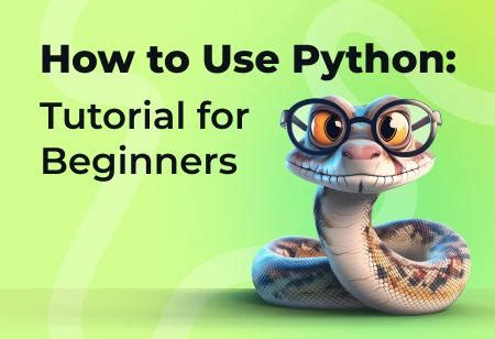 Image result for How To Work Python