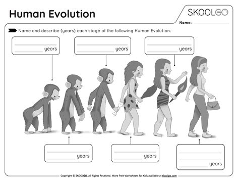 Image result for Evolution Worksheet and Answer Key