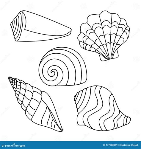 Toradh íomhá ar Line Drawing Shell Simple Logo