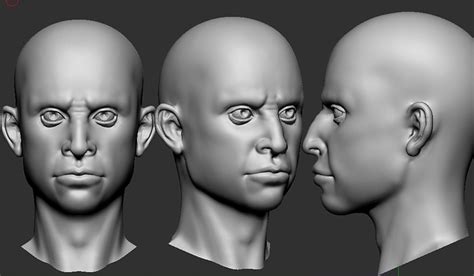 Image result for Base Face Model