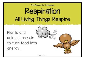 Image result for Poster On Life Processes