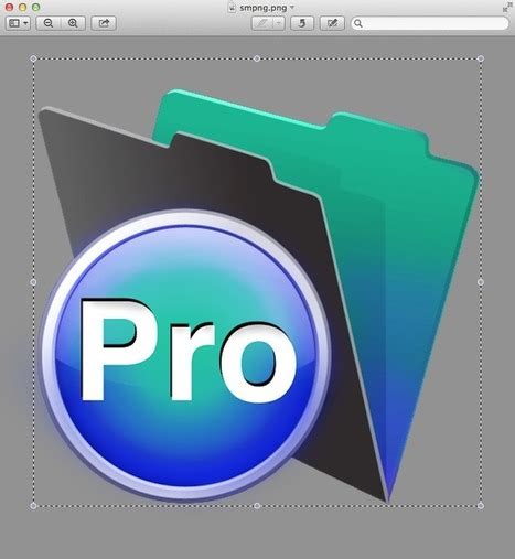 Image result for FileMaker Pro Icon