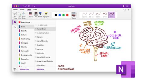 Image result for OneNote How to Guide