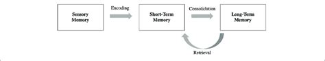 Multimodal Memory Model に対する画像結果