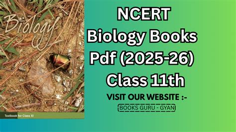 Toradh íomhá ar Computer Network NCERT PDF