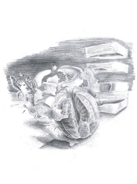 Image result for Sheridan Java Drawing