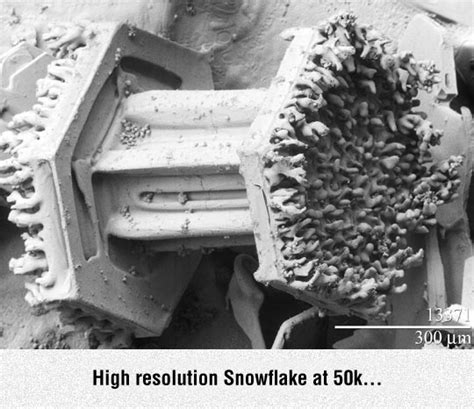 Snowflake Under Electron Microscope에 대한 이미지 결과