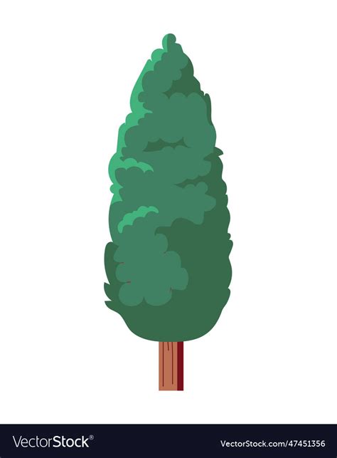 Image result for Free Green Tree Vector