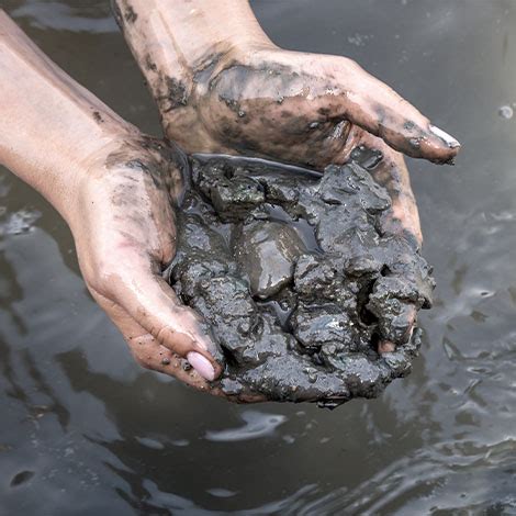 Image result for Creating Muck