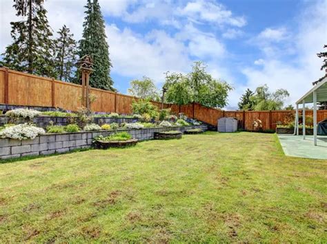 Image result for Cornhole Tips