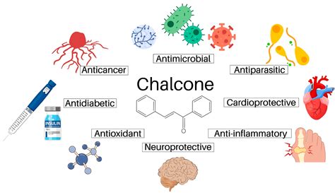 Toradh íomhá ar Biological Activity Examples