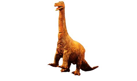 Image result for Nessie Pleosaurus