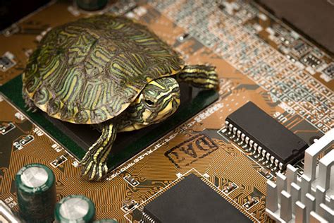 80s Computer Software Turtle に対する画像結果