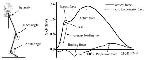 Ground Reaction Force Graph માટે ઇમેજ પરિણામ