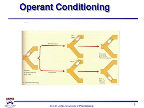 Image result for Learning and Memory Presentation