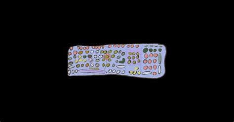 Image result for Enter Keyboard Spring