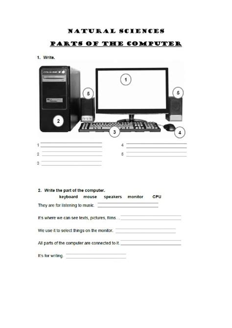 Parts of a Computer Worksheet Printable に対する画像結果