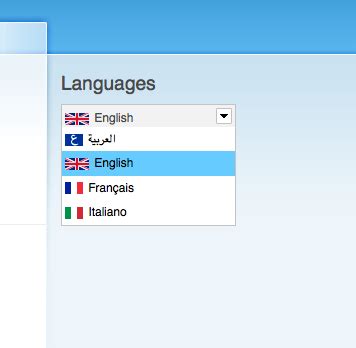 Image result for Language Selector Screen
