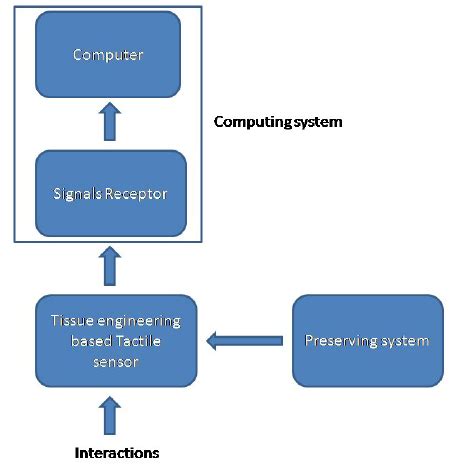 Image result for Tuberosity Sensor Block Diagram