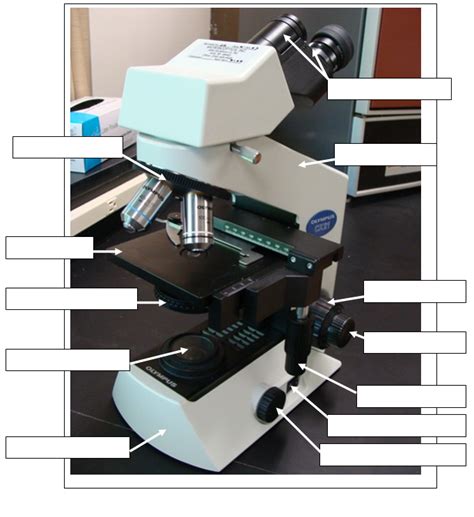 Image result for Compound Light Microscope